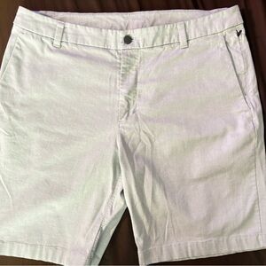 Lululemon Athletica Men's Light Gray Shorts